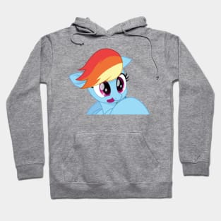 Silly movie Rainbow Dash face 1 Hoodie